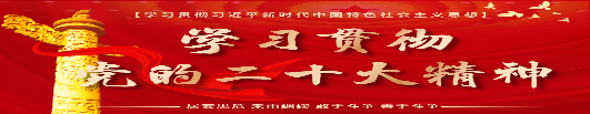 學(xué)習(xí)貫徹黨的二十大精神